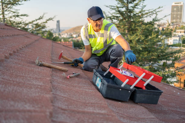 Best Steel Siding Installation  in Merritt Park, NY